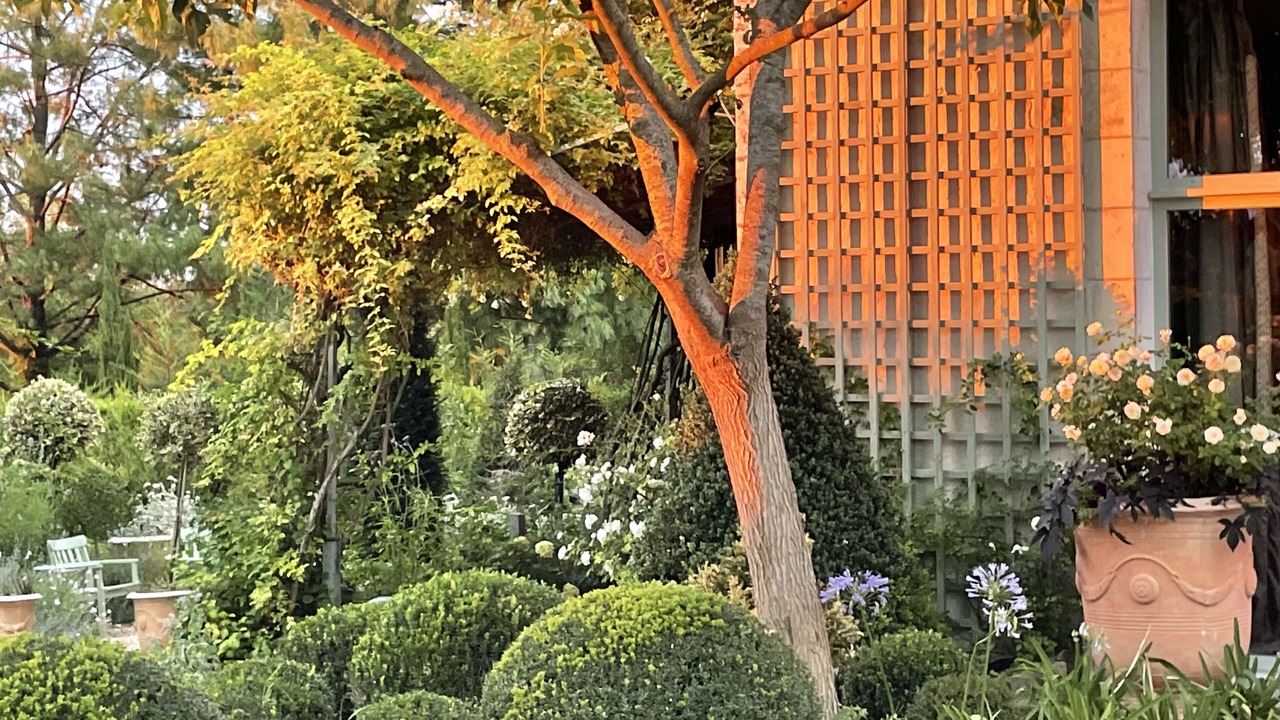 Photo of Outdoor in Huismes