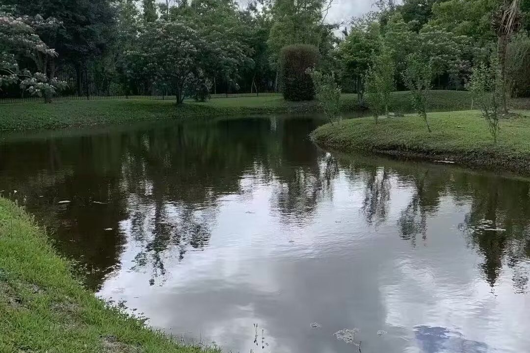 Photo of Outdoor in Iowa Colony