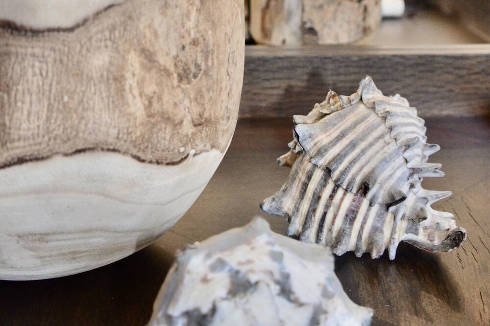 Photo of Livingroom in Cabo San Lucas