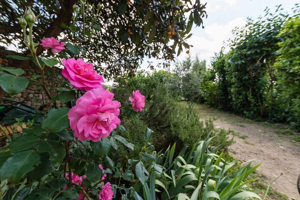 Photo of Outdoor in Chassiers