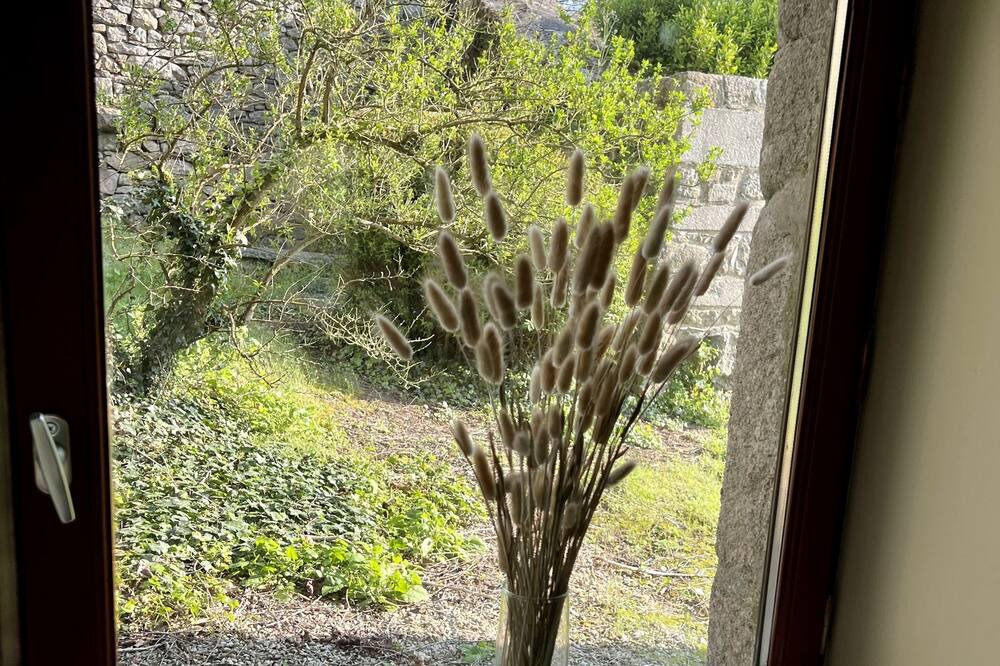 Photo of Others in Plougoulm