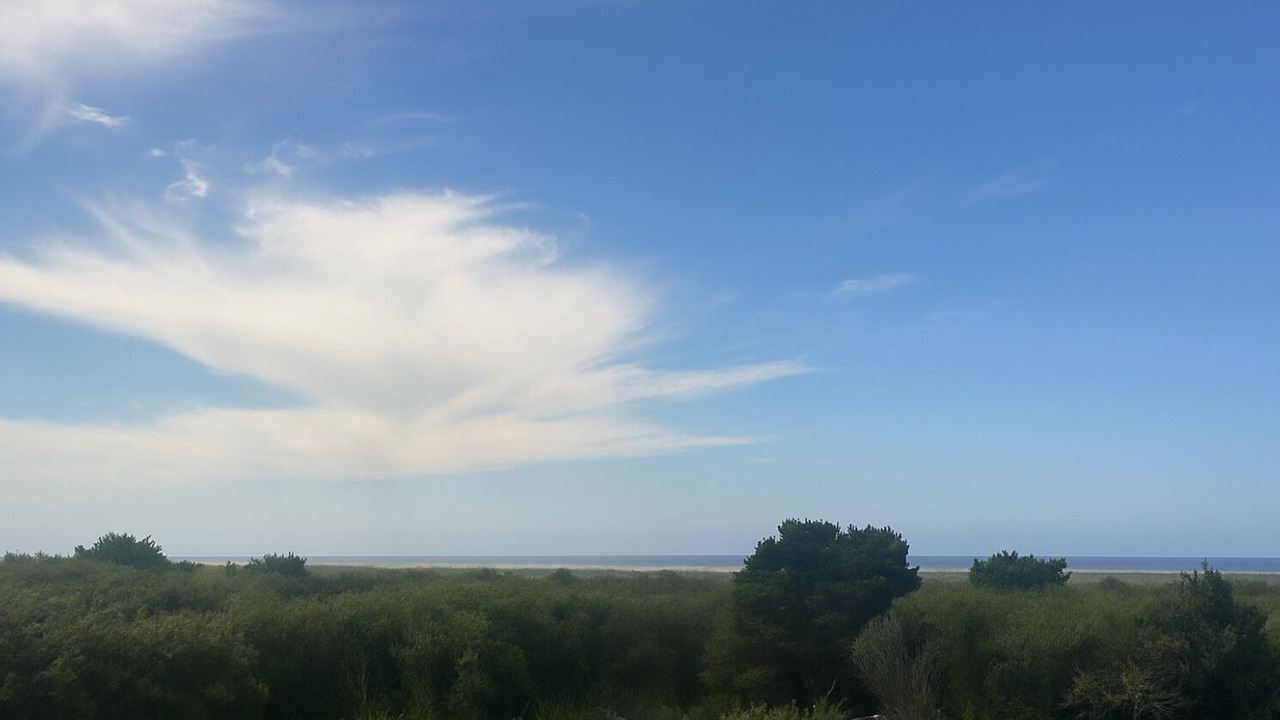 Photo of Others in Ocean Shores