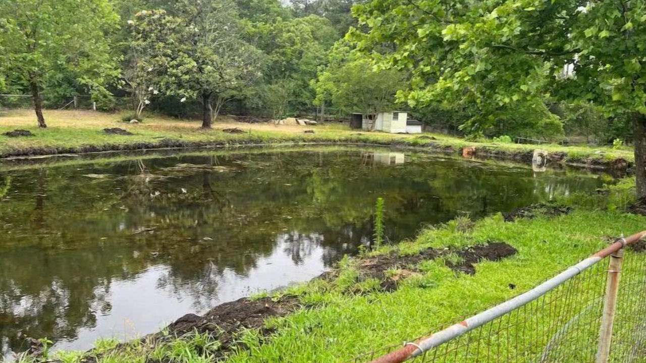 Photo of Outdoor in South View