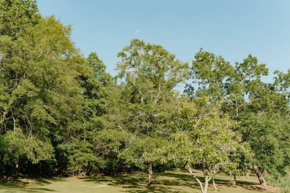 Photo of Others in Danielsville