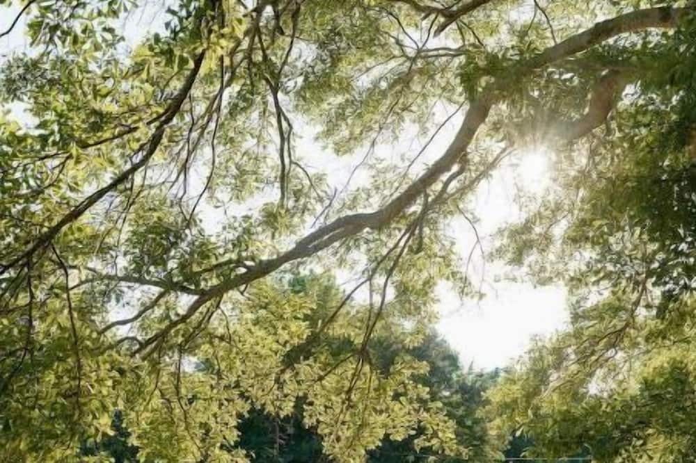 Photo of Outdoor in Danielsville