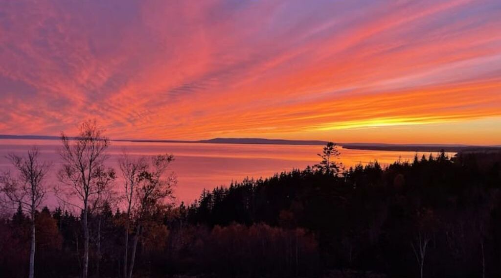 Photo of Others in Iona