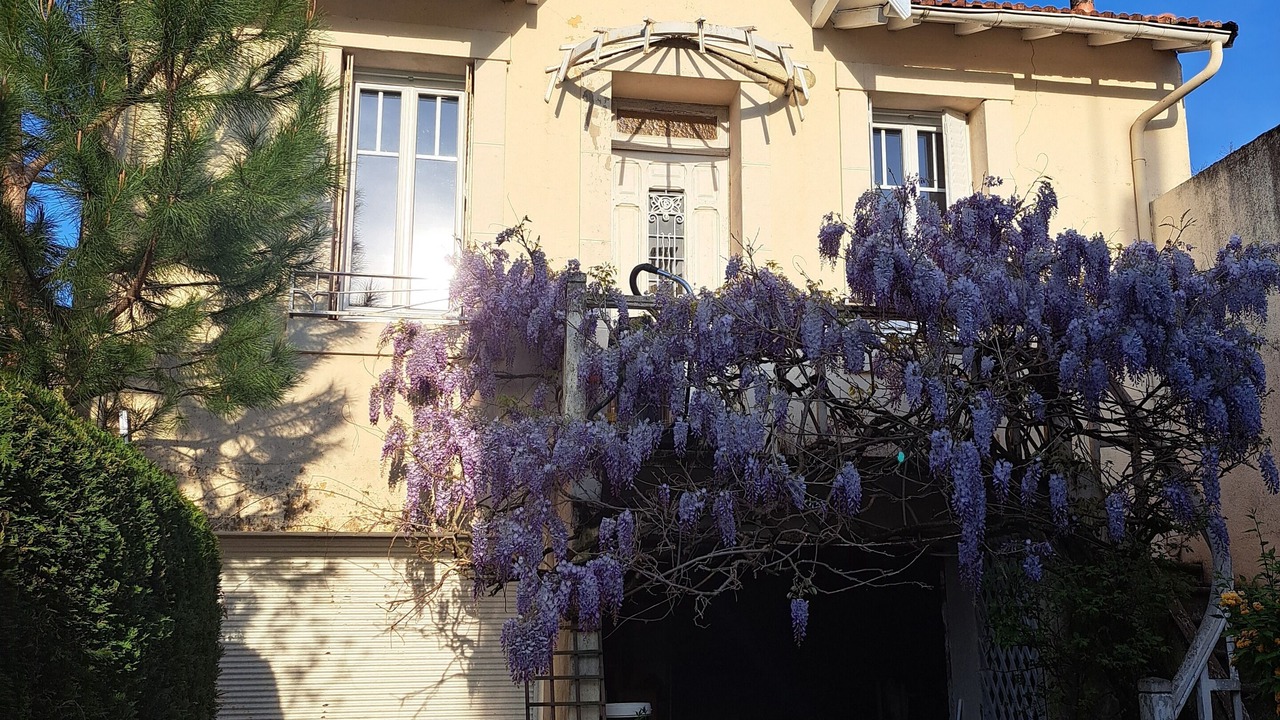 Photo of Outdoor in Graulhet