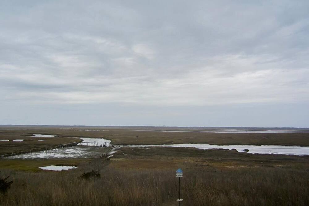 Photo of Others in Strathmere