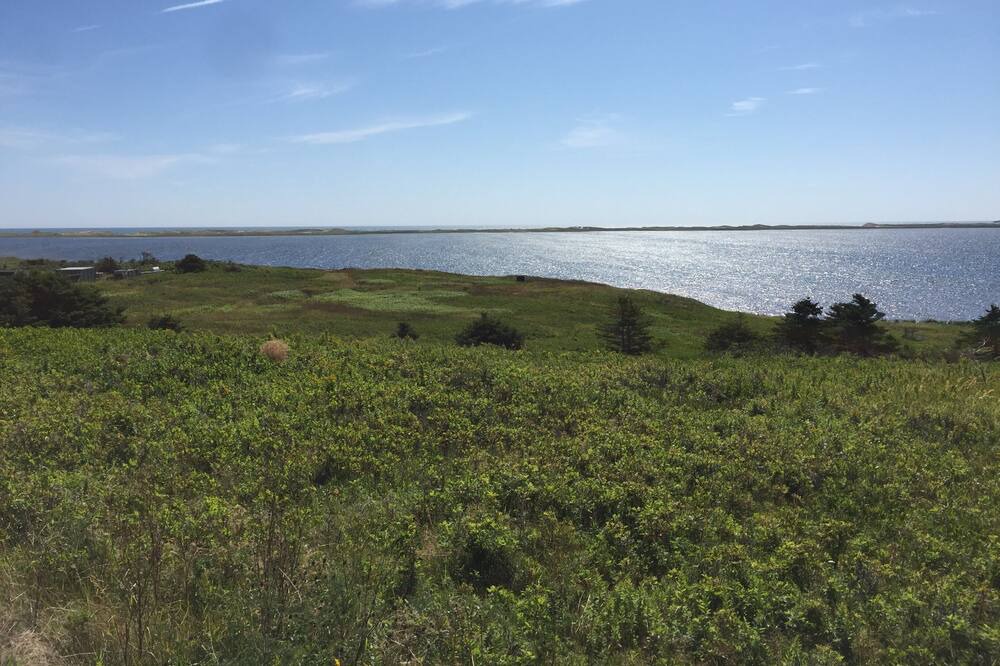 Photo of Others in Pointe-aux-Loups