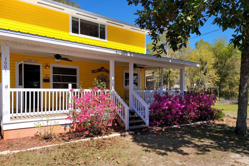 Photo of Outdoor in Steinhatchee