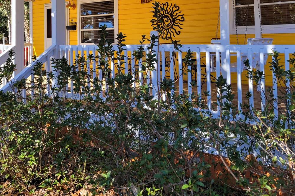 Photo of Outdoor in Steinhatchee