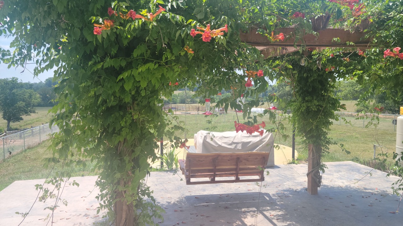 Photo of Patio Balcony in Pomona