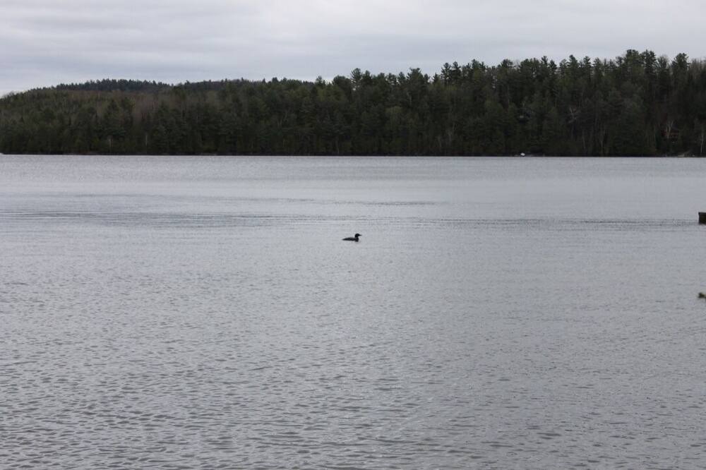 Photo of Others in Northfield