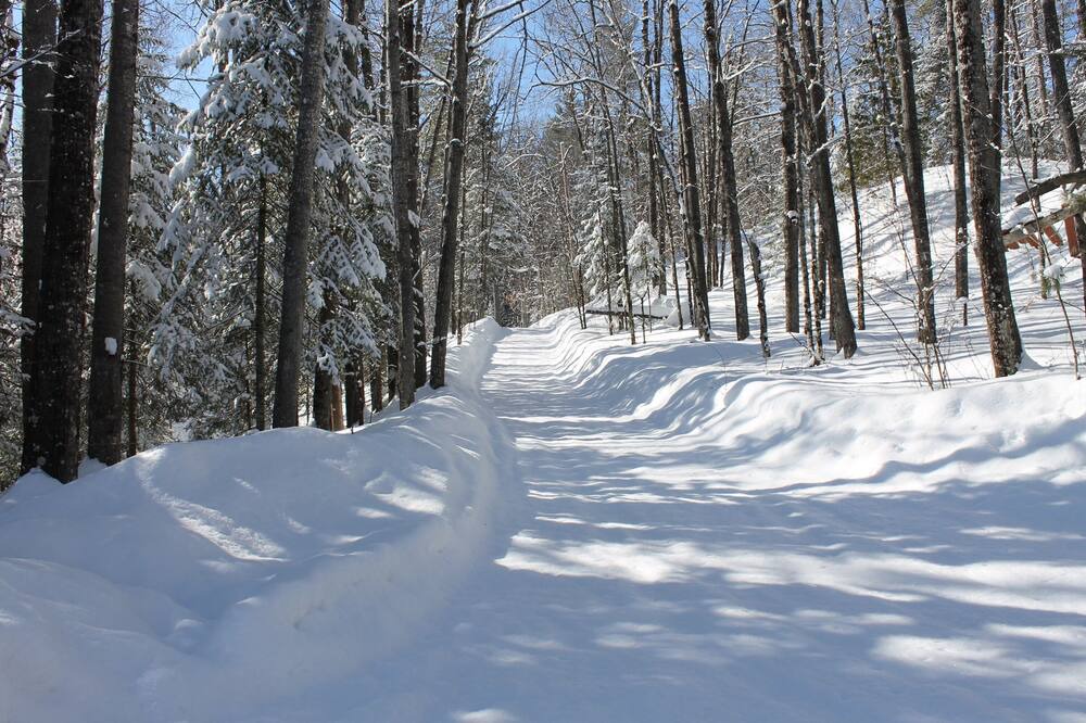 Photo of Outdoor in Northfield