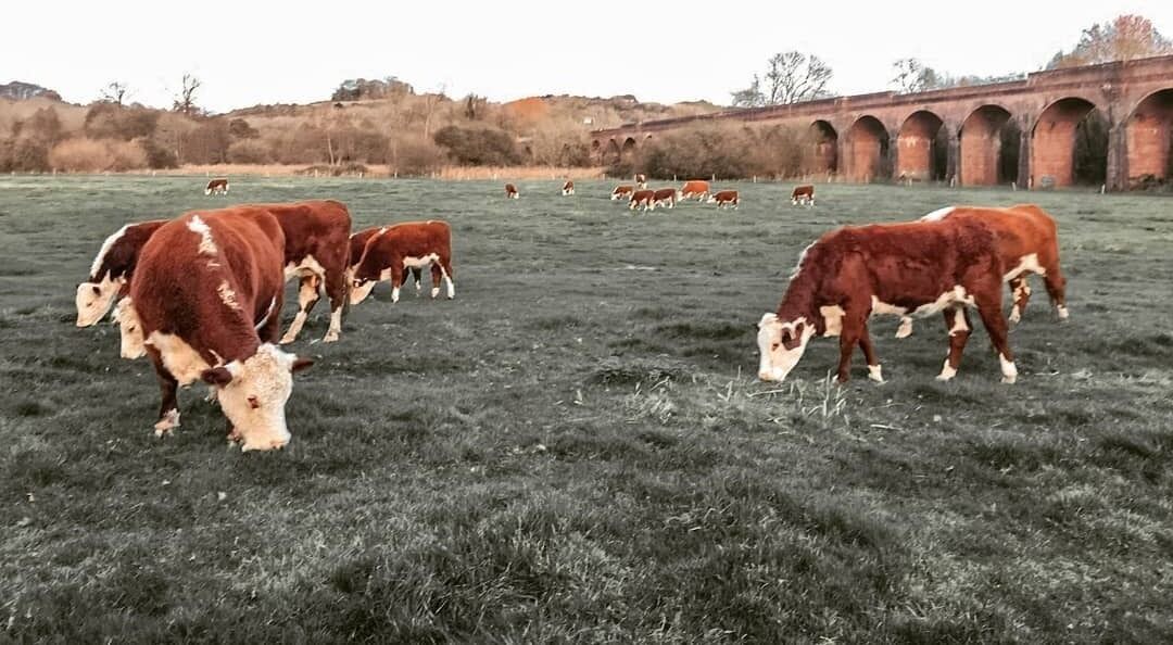 Photo of Outdoor in Winchester