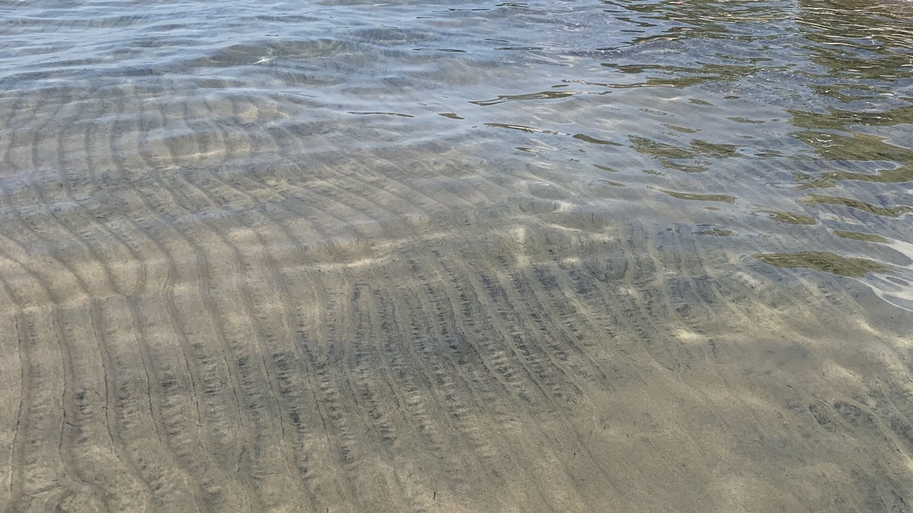 Photo of Others in Bluewater Beach