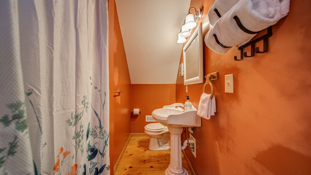 Photo of Others in Mineral Bluff