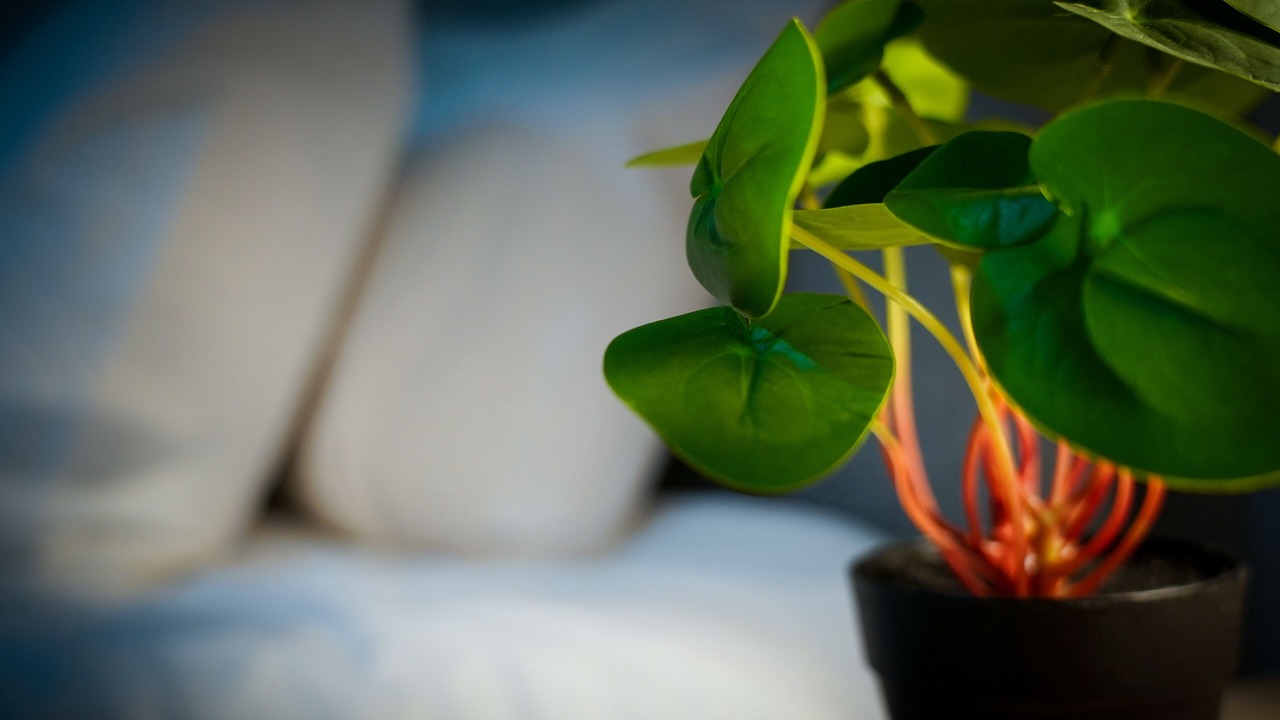 Photo of Others in Tea Green