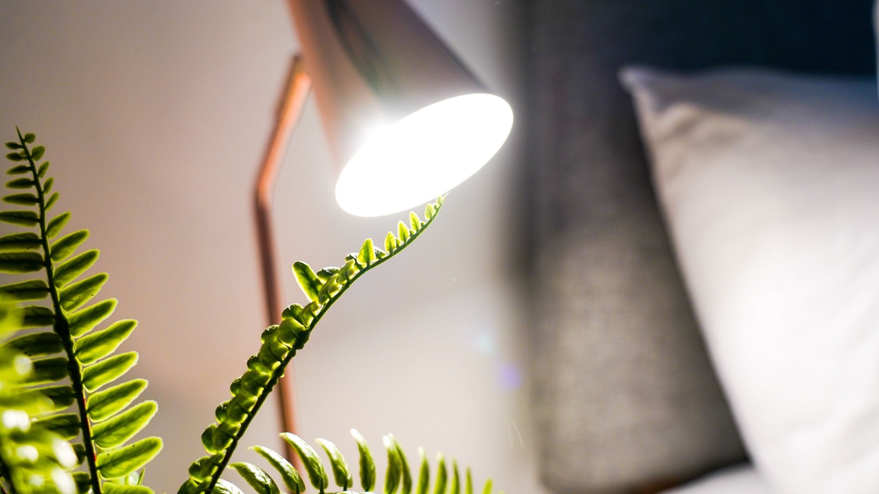 Photo of Others in Tea Green