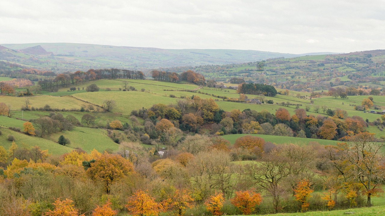 Photo of Outdoor in Sutton