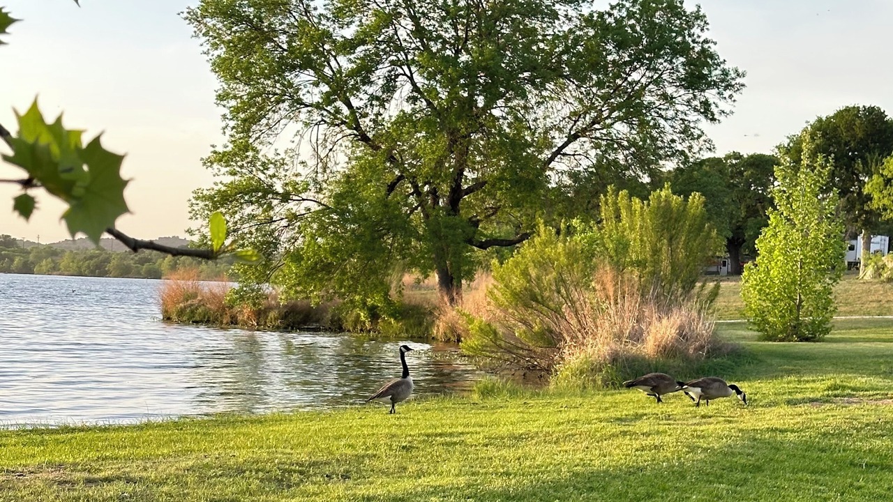 Photo of Outdoor in Burnet