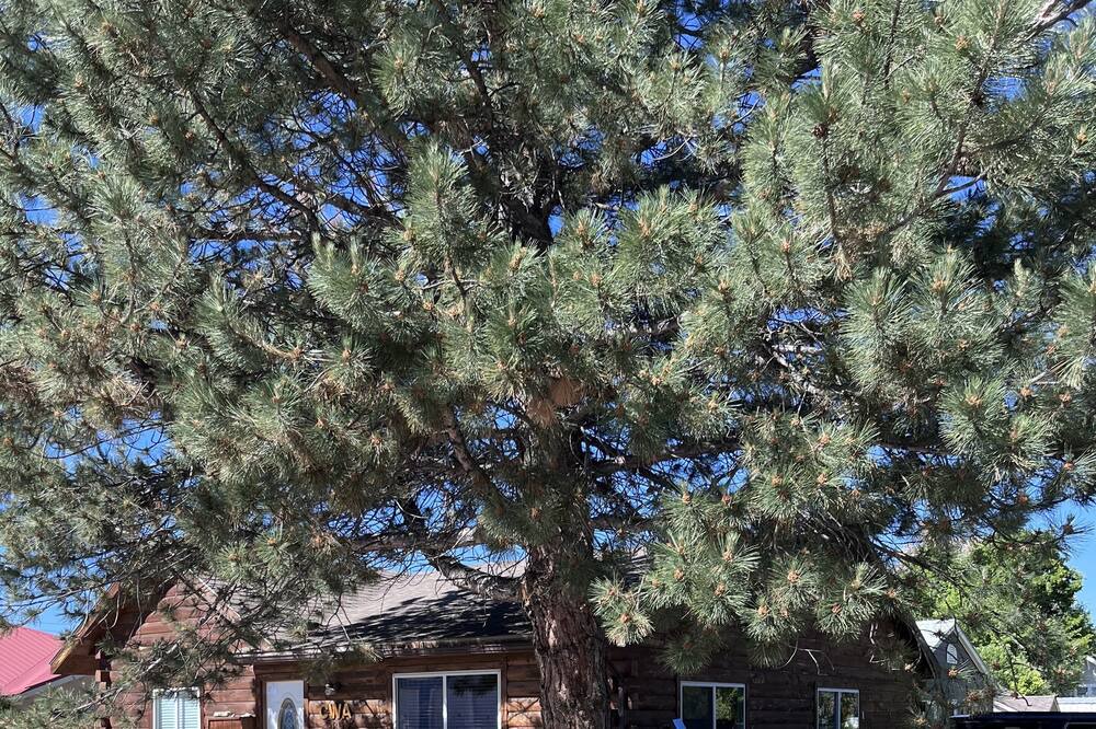 Photo of Outdoor in Meeker