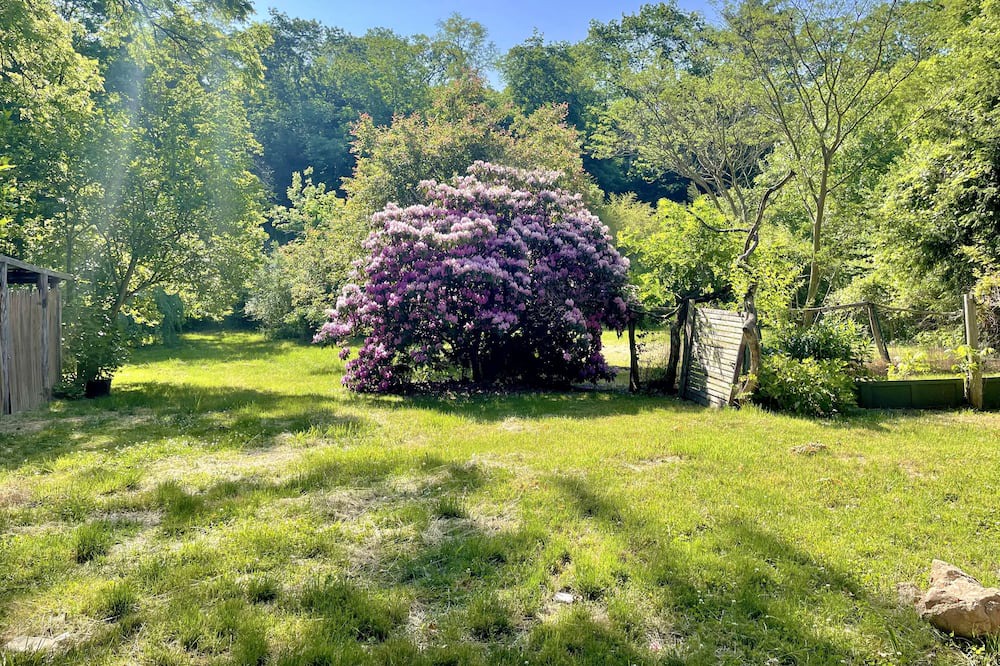 Photo of Outdoor in Mount Marion