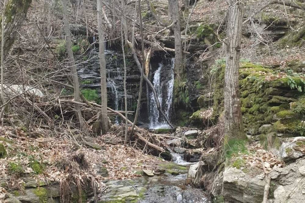 Photo of Others in Saint-Germain-de-Calberte