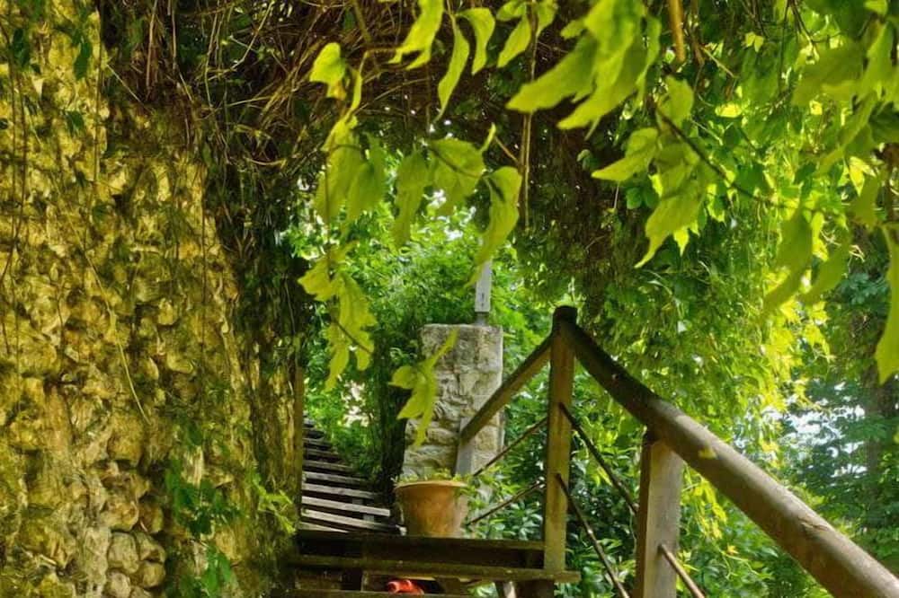 Photo of Outdoor in Ferriere-Larcon