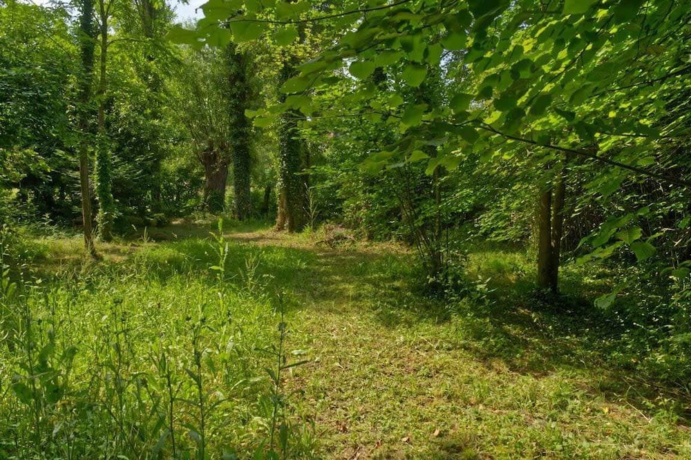 Photo of Others in Ferriere-Larcon