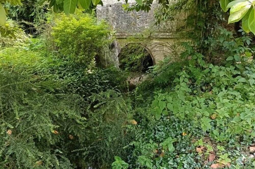 Photo of Outdoor in Ferriere-Larcon