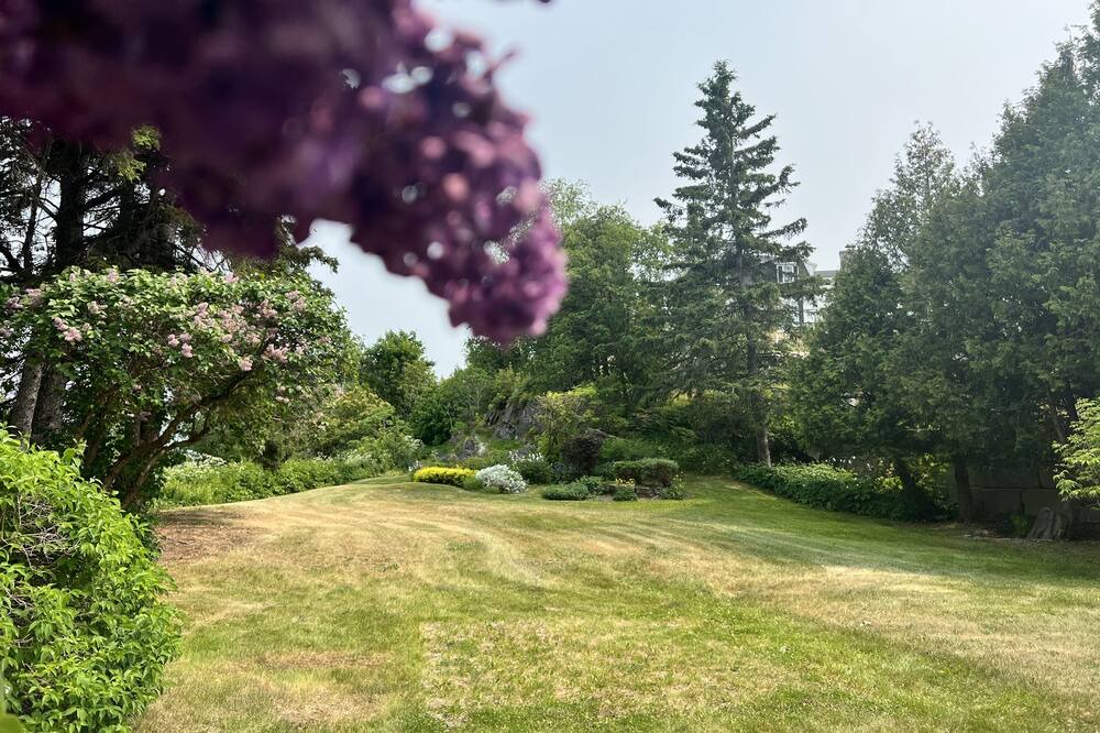 Photo of Outdoor in Pointe-au-Pic