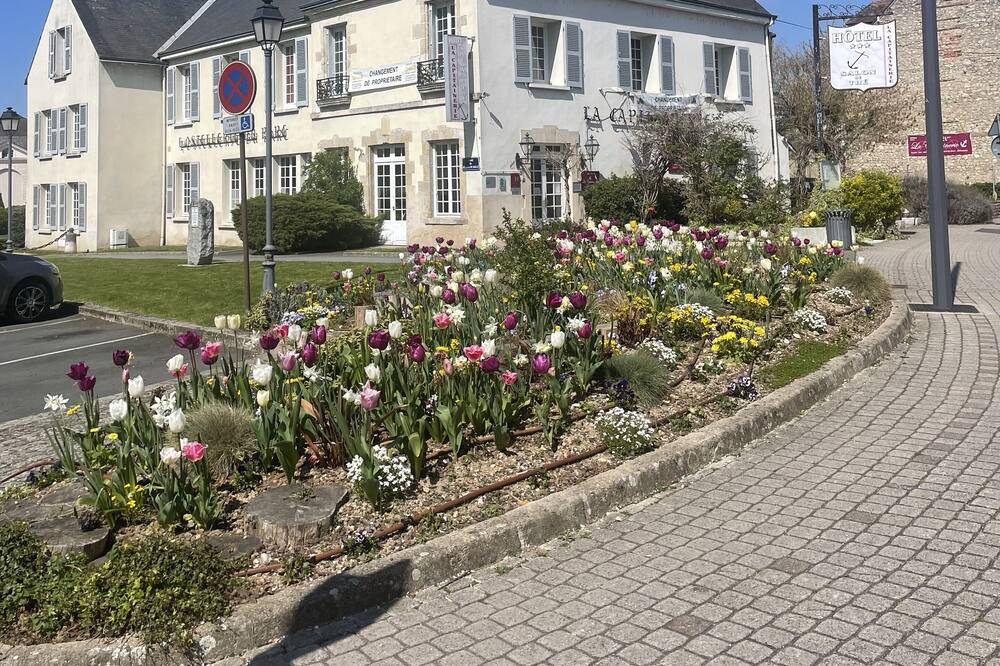 Photo of Outdoor in Chateauneuf-sur-Loire