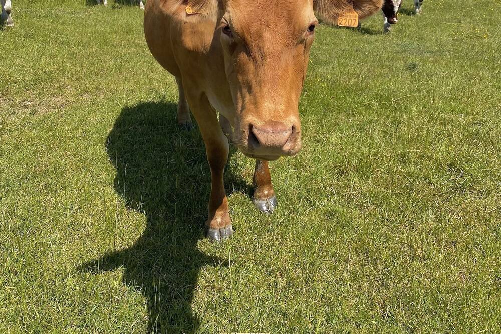 Photo of Others in Soligny-la-Trappe