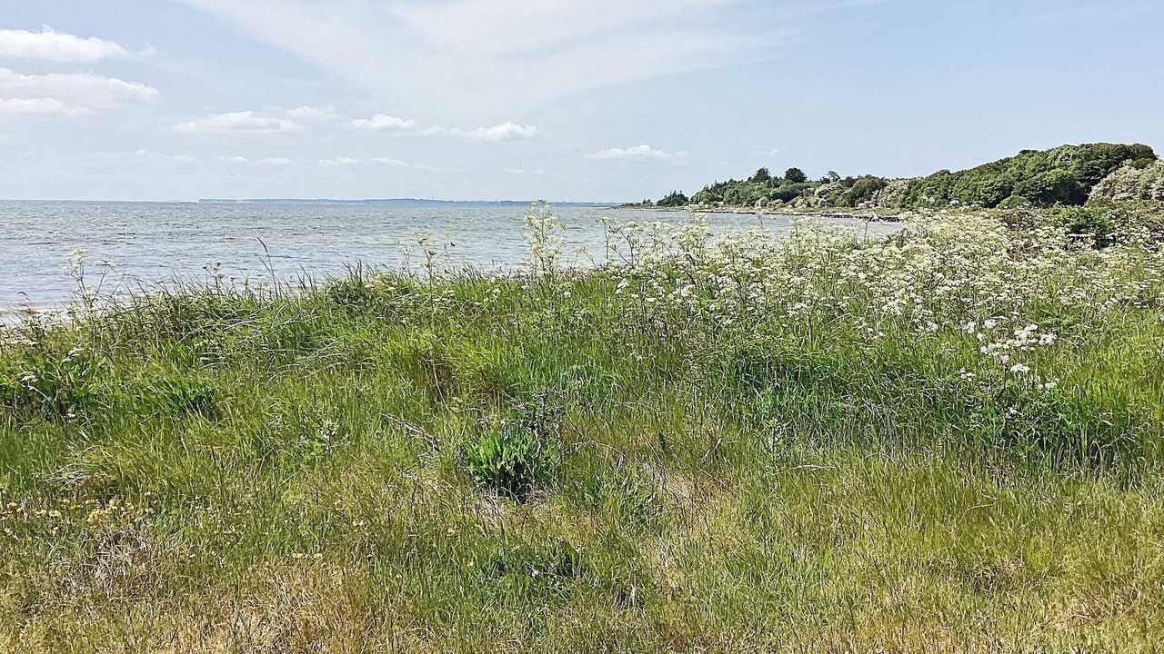 Photo of Others in Vesløs