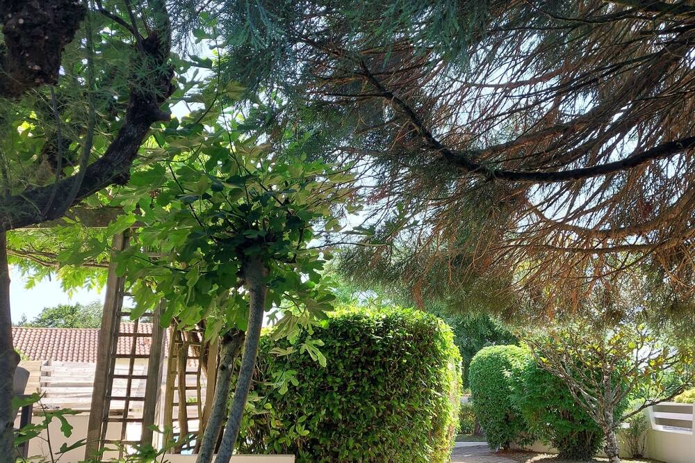 Photo of Outdoor in Montamise