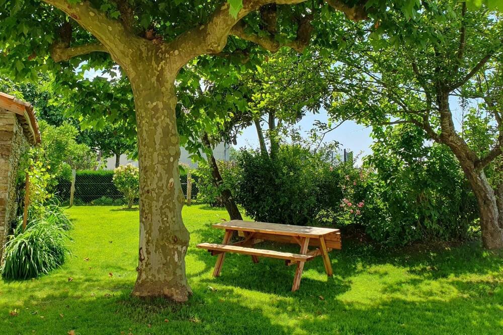 Photo of Outdoor in Orion