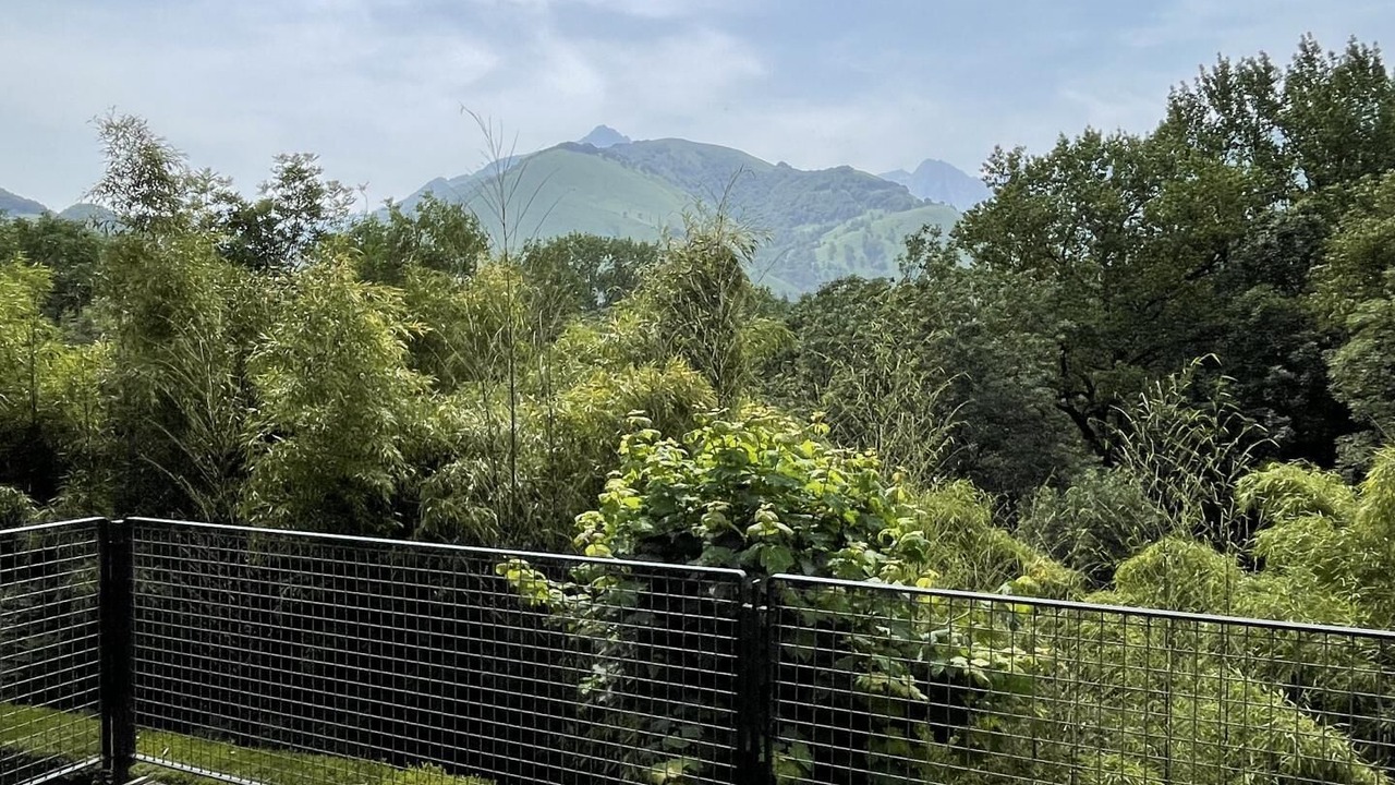 Photo of Outdoor in Osse-en-Aspe