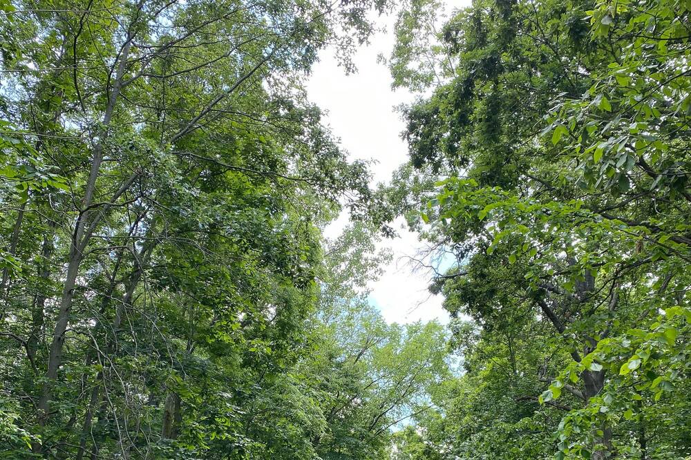 Photo of Outdoor in Kingsville