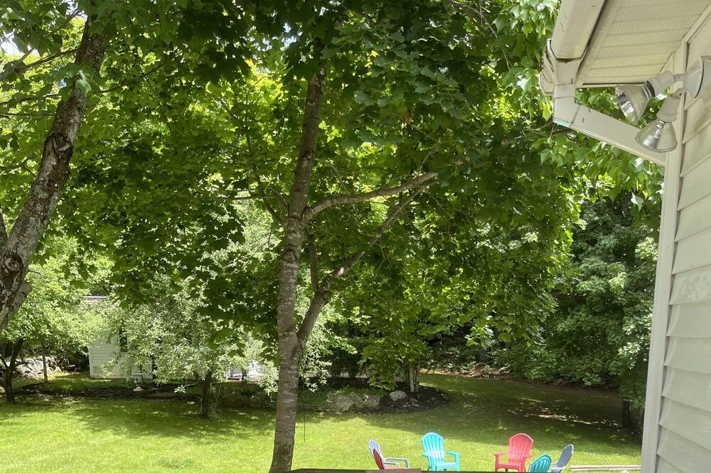 Photo of Outdoor in Freedom