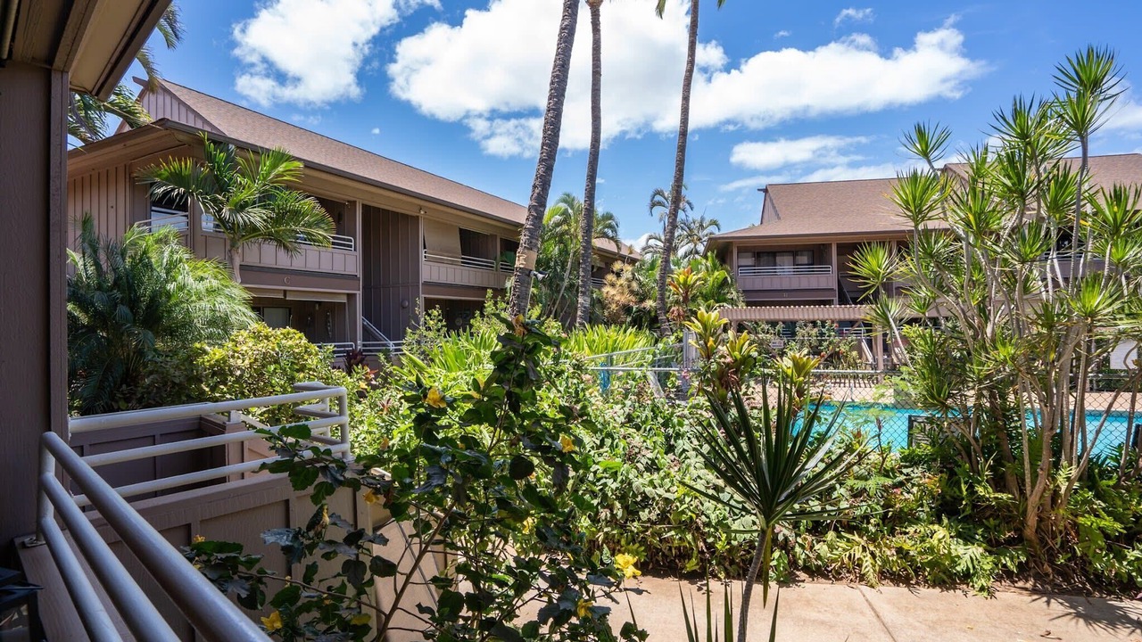 Photo of Outdoor in Kihei