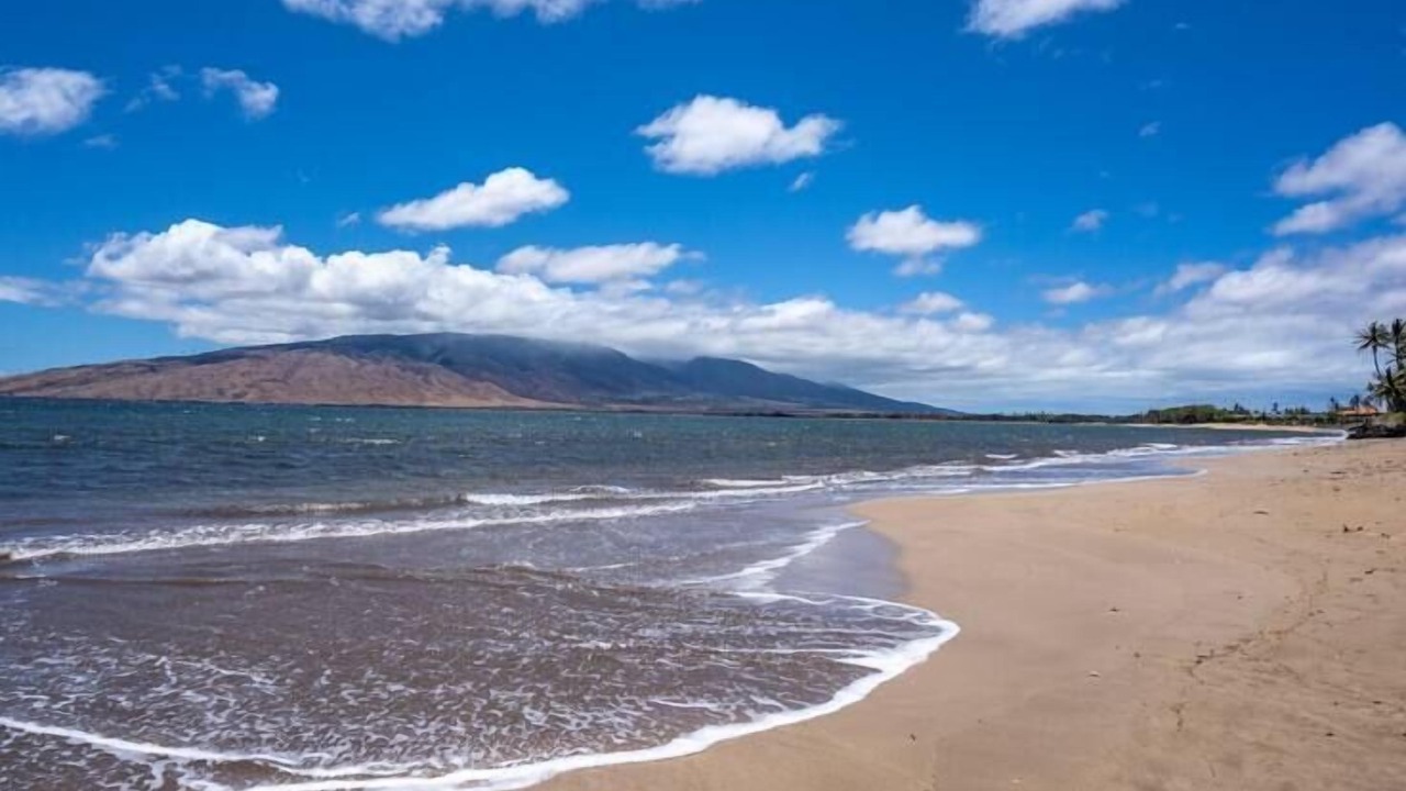 Photo of Outdoor in Kihei