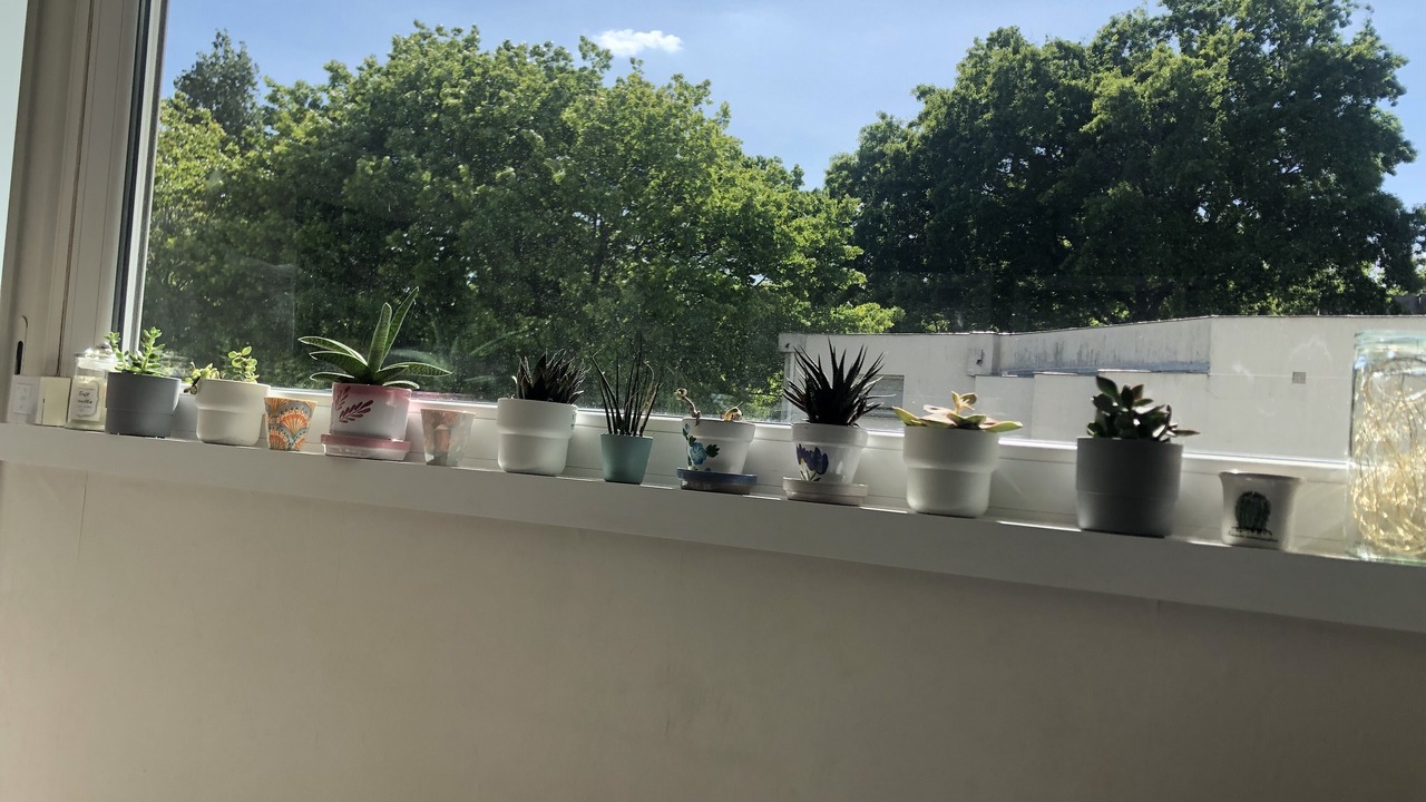 Photo of Outdoor in Villejean