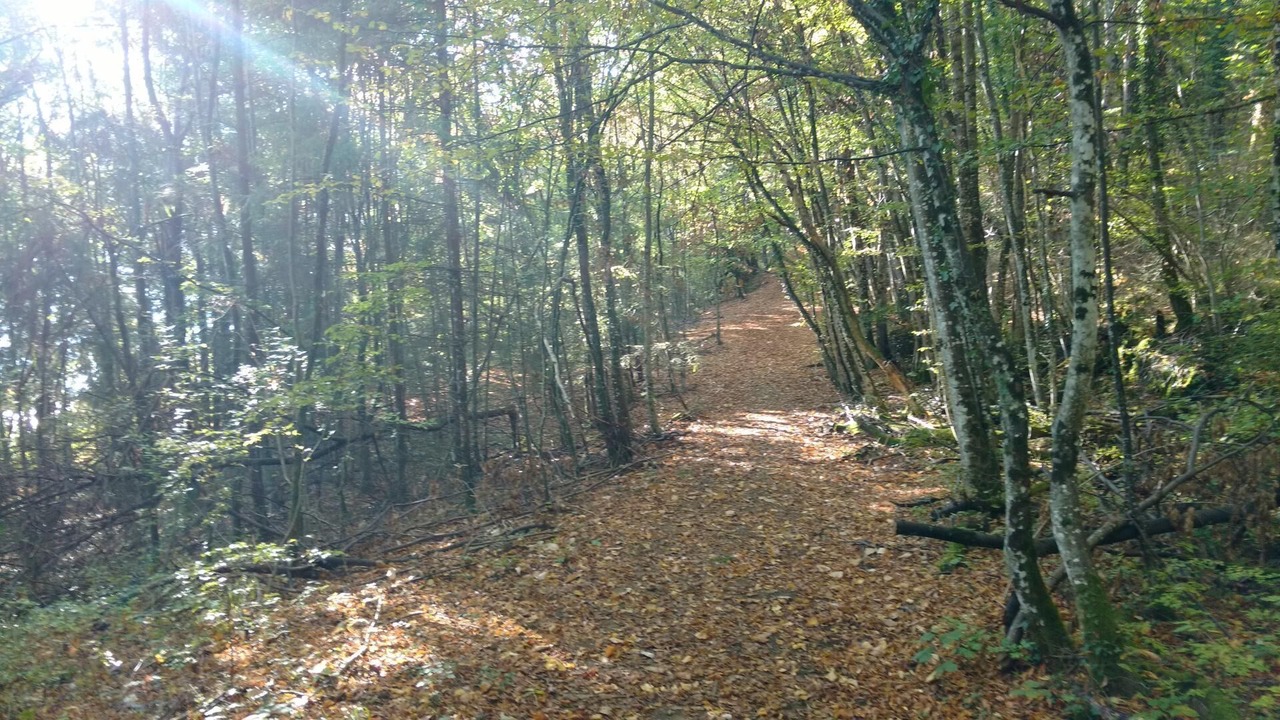 Photo of Outdoor in Sainte-Helene-du-Lac