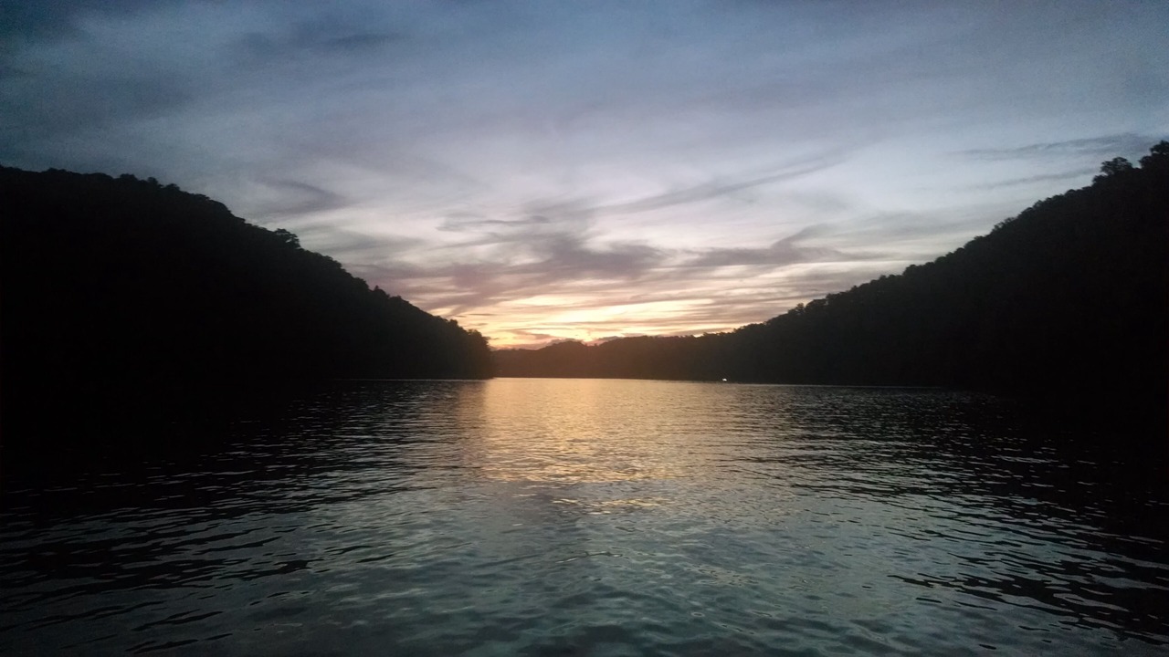 Photo of Others in New Tazewell