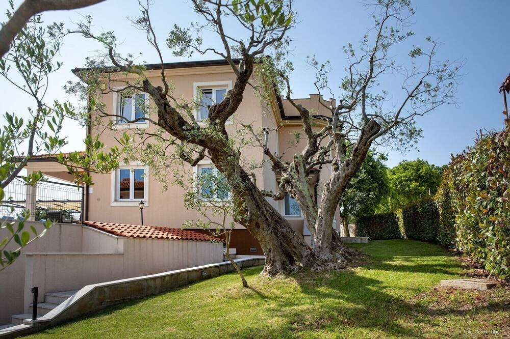 Photo of Outdoor in Rovinjsko Selo