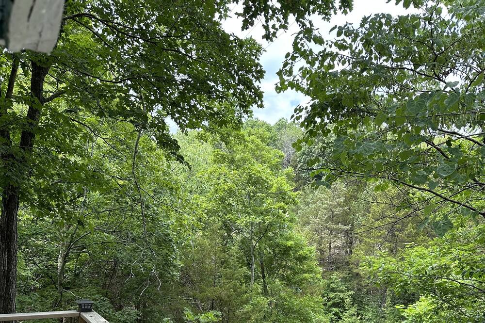 Photo of Outdoor in Hermitage
