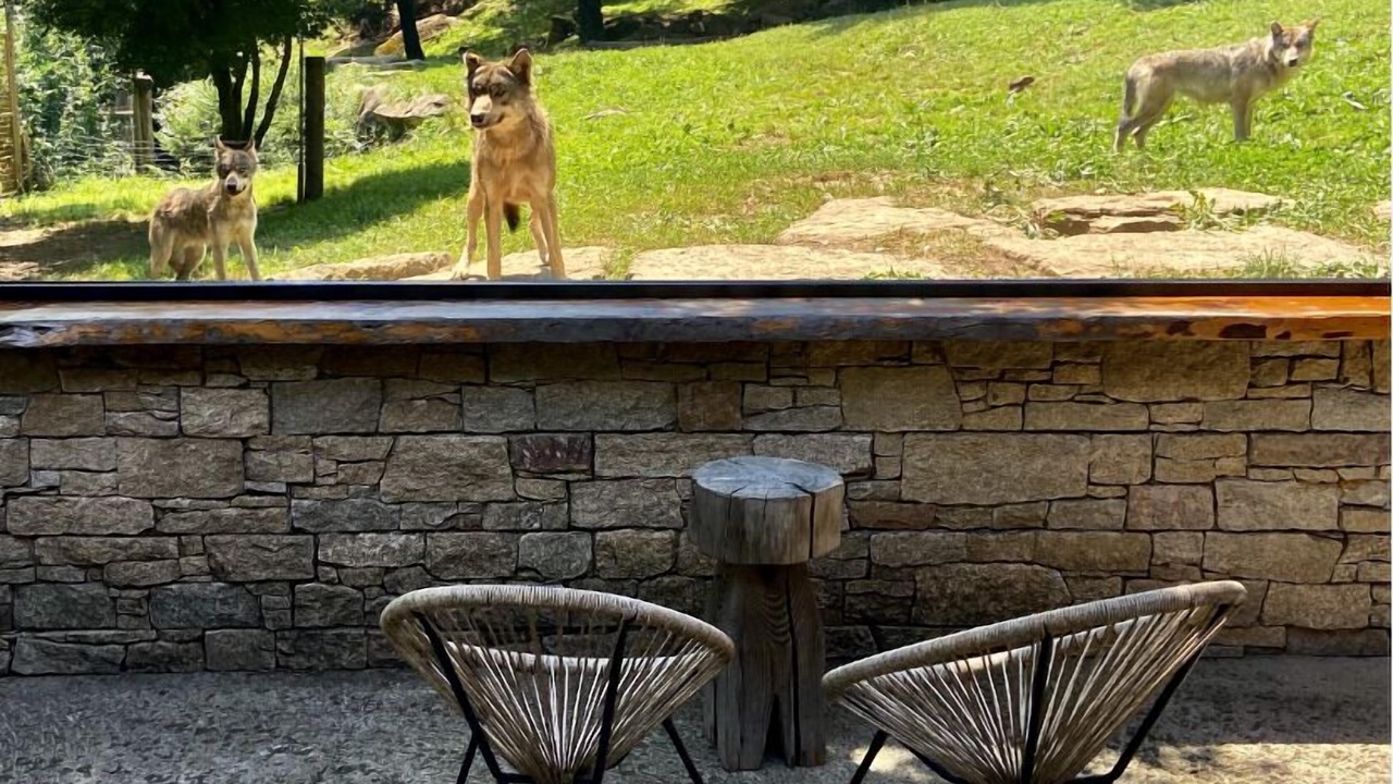 Photo of Outdoor in Ayzac-Ost