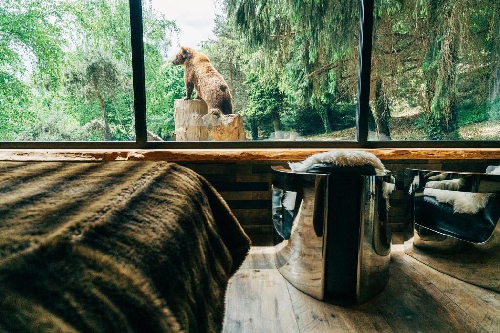 Photo of Others in Ayzac-Ost