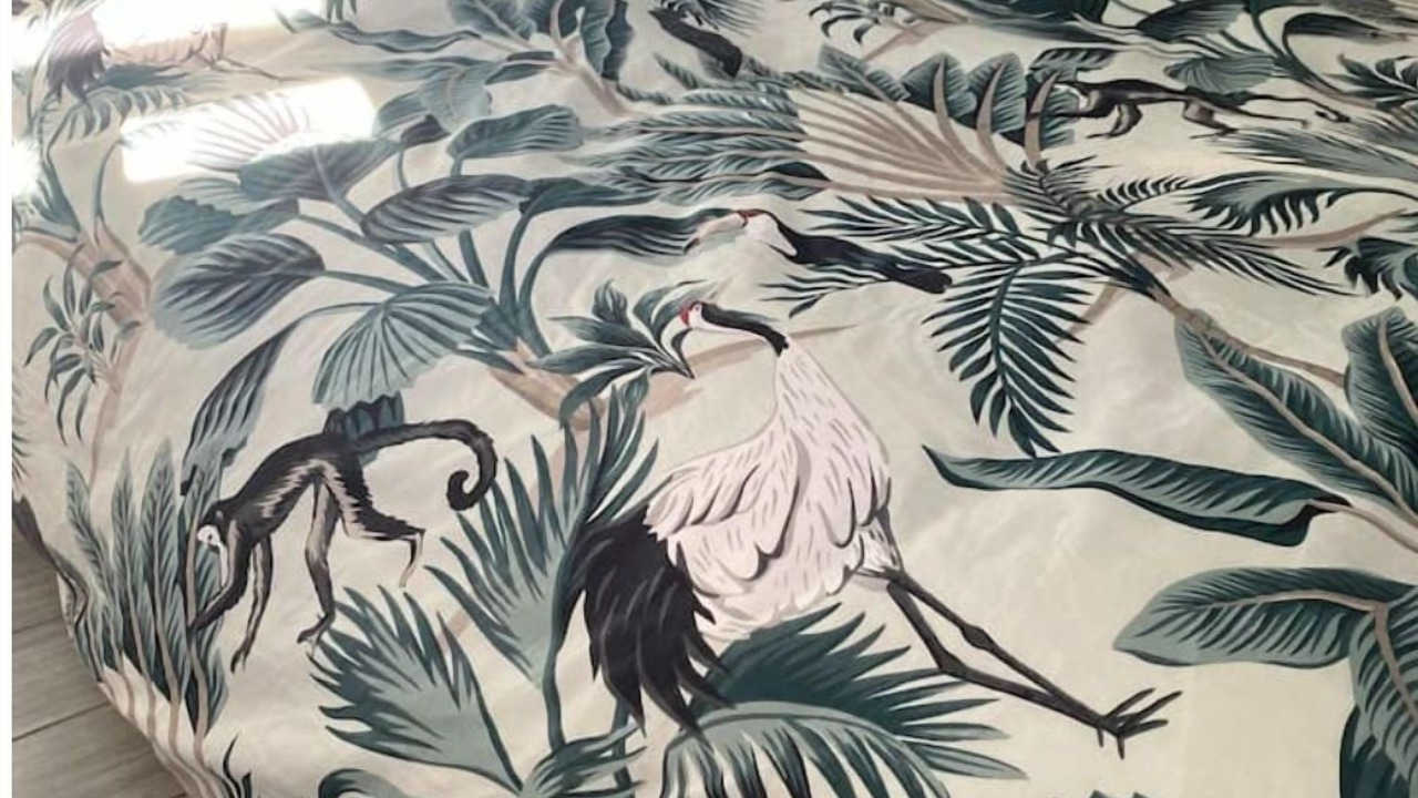 Photo of Others in Saint-Saulve